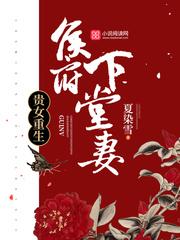 女主沈清辞娄飞雪