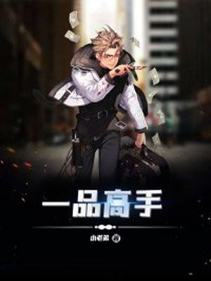 一品高手段云
