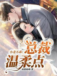 苏暖暖厉衍琛完整版全文免费阅读