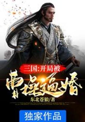 三国开局被曹老板欣赏