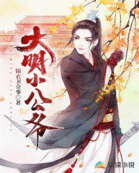 大明小公爷全集免费