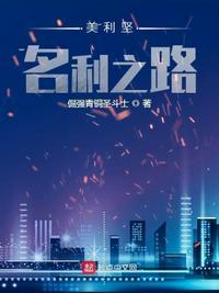 美利坚名利之路TXT精校