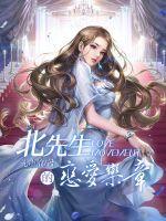 c先生北风歌曲视频