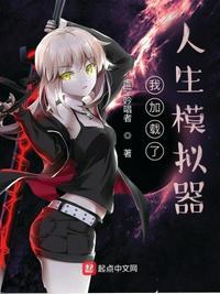 人生模拟器加载不出来