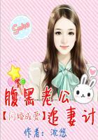 腹黑老公追妻计