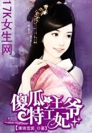 傻瓜王爷穿越妃