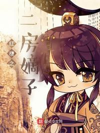 穿越红楼之嫡子有为