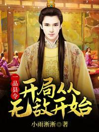 一品县令开局从无敌开始 小雨淅淅