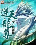 逆天龙尊100集免费播放