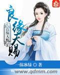 良缘天赐夫君超黏人