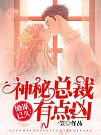 神秘总裁的私宠最新