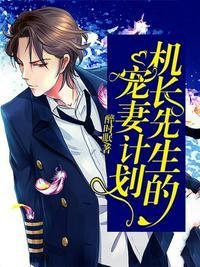 机长先生请轻宠