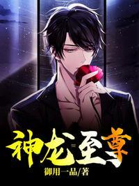 神龙至尊 爆款小达人