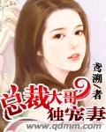 总裁大哥独宠妻txt