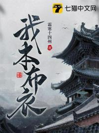 美人扶助进省委TXT