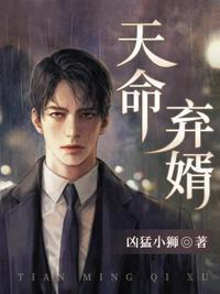 天命赘婿