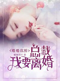 总裁我要离婚苏麦