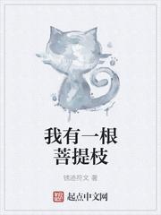 我能点化万物吗