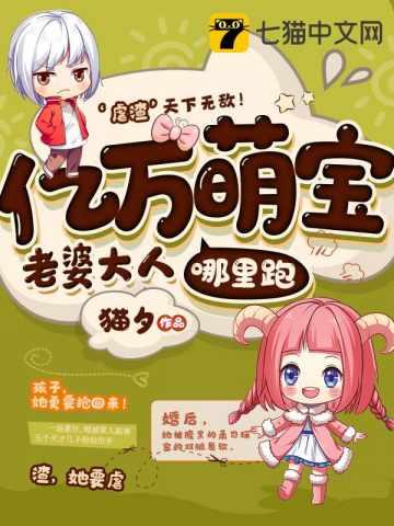 一胎七宝老婆大人哪里跑txt