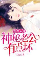 神秘老公有点坏叶星北免费阅读