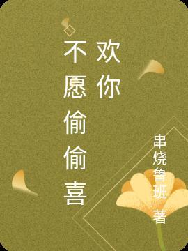 不愿偷偷喜欢你 串烧鲁班
