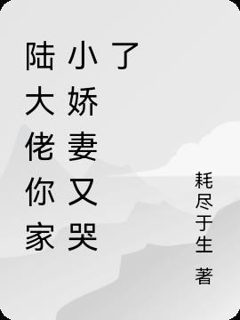 陆大少陆家小呆萌