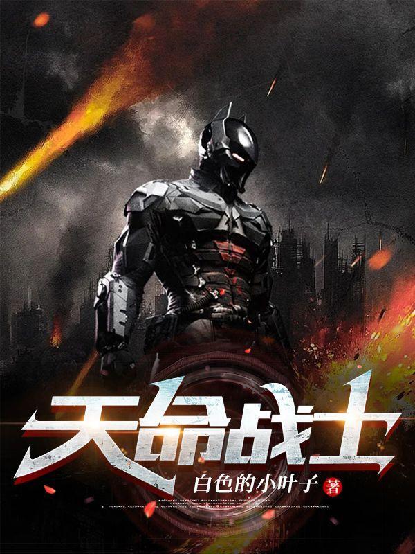 天命西游战士加点