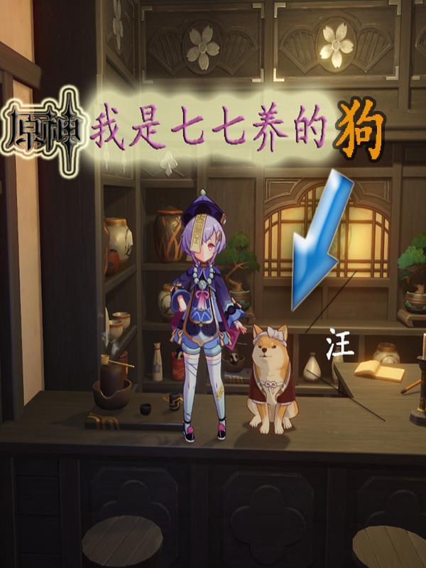 原神七七是什么职位