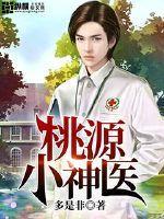 桃源小神医叶阳免费阅读全本
