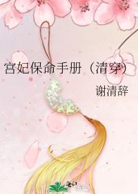 宫妃详细攻略