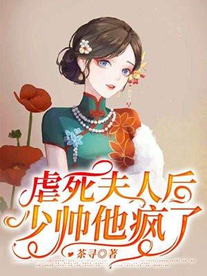 少帅他疯了!电视剧免费观看