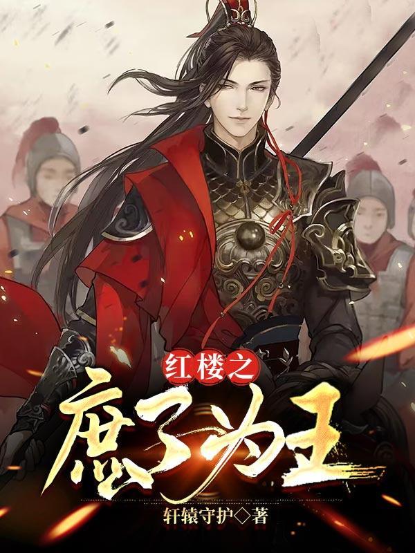 红楼之庶子从容人生