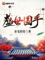 盛世国招