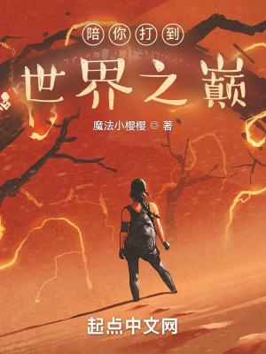 陪你打到世界之巅TXT