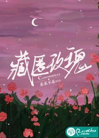 这本书的大概情节