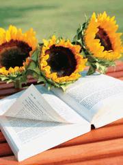 我爱你爱的那一天