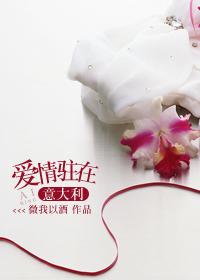 爱情驻在意大利全文阅读