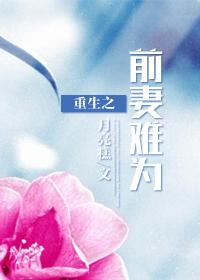 重生前妻不好追免费阅读