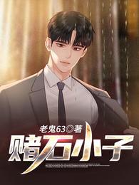 赌石小子完结版阅读顶点