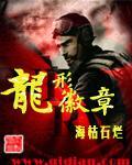 龙系徽章用什么宠物打