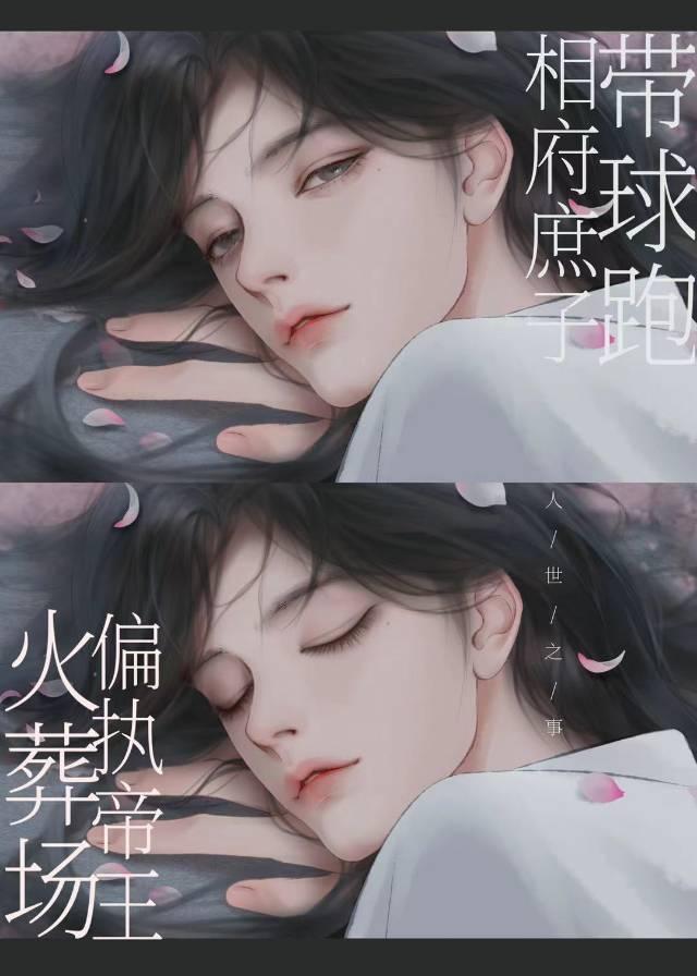 带球跑后偏执帝王火葬场了电脑版