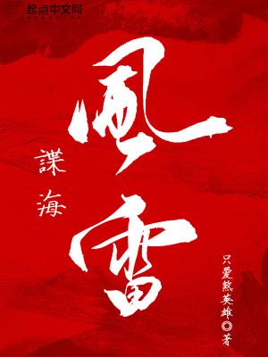 谍海风雷TXT免费