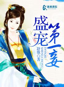 盛宠第一夫人全文免费阅读