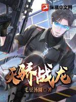 天骄战龙叶风 作者毛豆汤圆