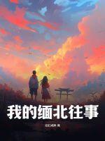 缅北现况