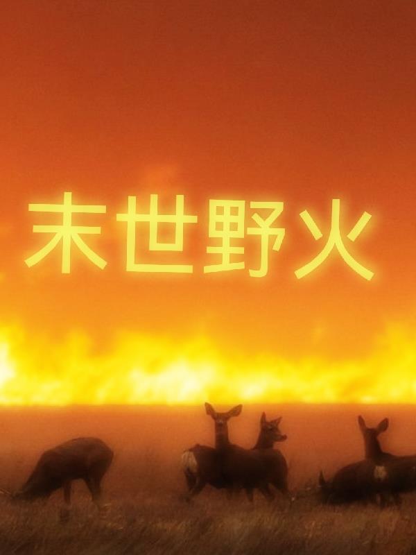 末世纪火山
