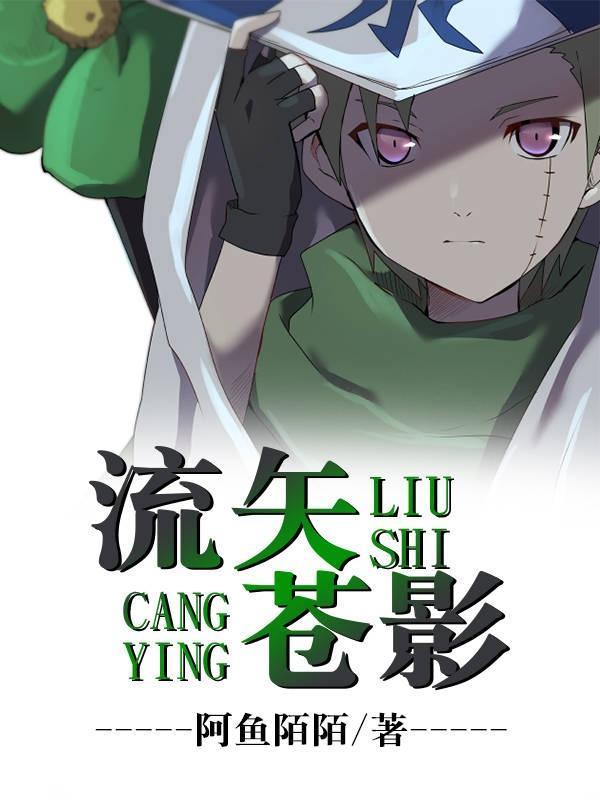 流矢苍影免费阅读