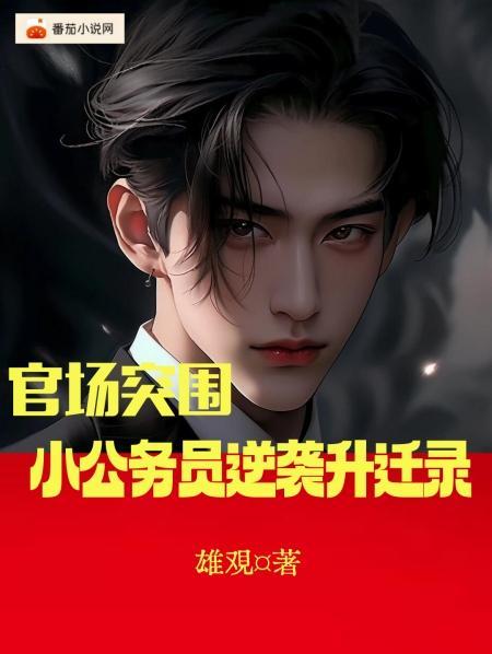 官场突围小公务员逆袭升迁录 雄观