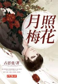 月照孤山寺里梅