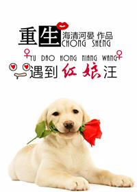 阿玛重生当红娘